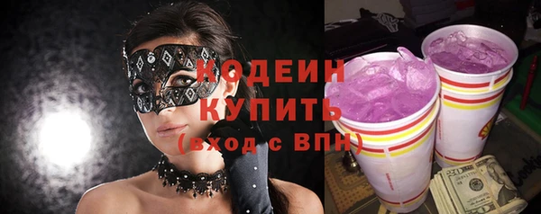хмурый Няндома