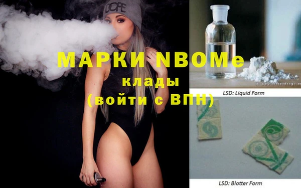хмурый Няндома