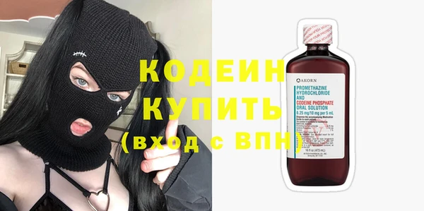 хмурый Няндома