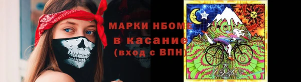 хмурый Няндома