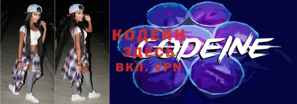 хмурый Няндома