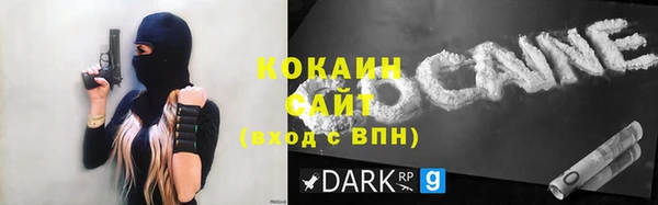 хмурый Няндома