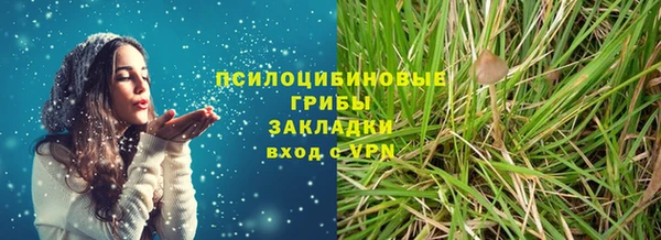 хмурый Няндома