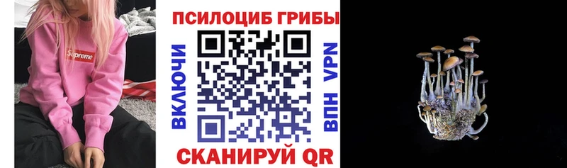 закладки  Кимовск  Псилоцибиновые грибы ЛСД 