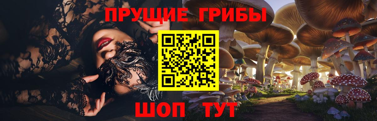Псилоцибиновые грибы MAGIC MUSHROOMS Кимовск