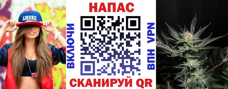 Бошки марихуана SATIVA & INDICA Кимовск